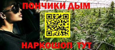 гидра Будённовск