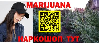 гидра Будённовск