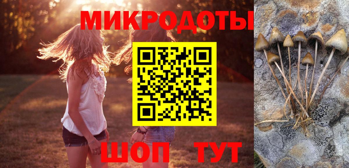 Кодеин  Канабис  Кокаин  ГАШ  ГАШ  Вейп ТГК  Мефедрон кристаллы  А ПВП СК кристаллы  НБОМе  Симферополь  Вход с VPN 