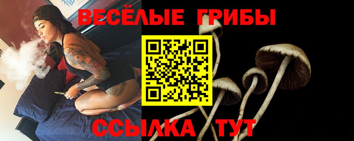 Галлюциногенные грибы MAGIC MUSHROOMS Симферополь